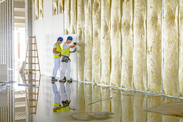 Insulation Contractors for Homes in Pinewood, FL